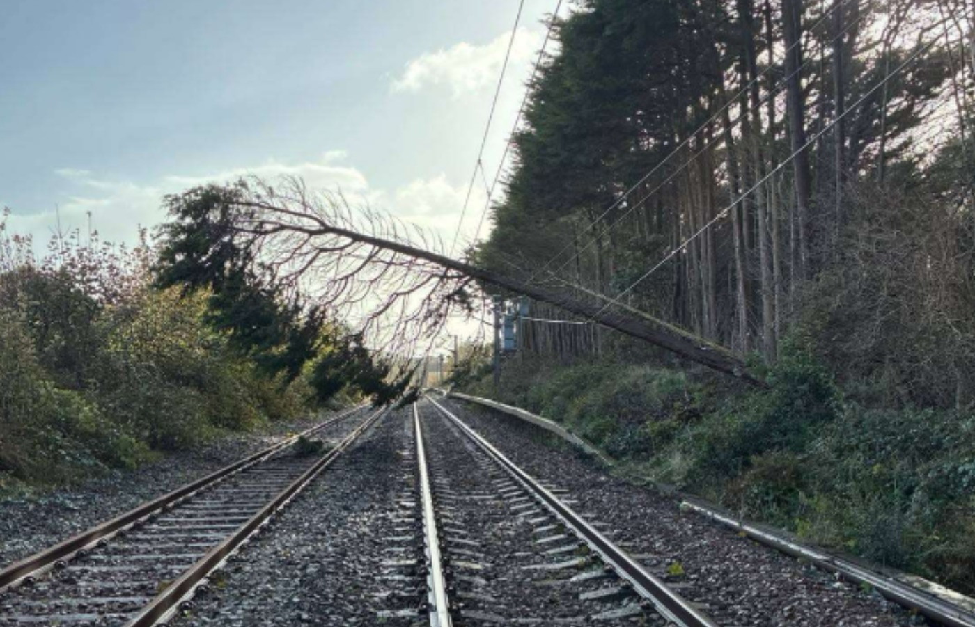 The Ardrossan line was impacted by a fallen tree