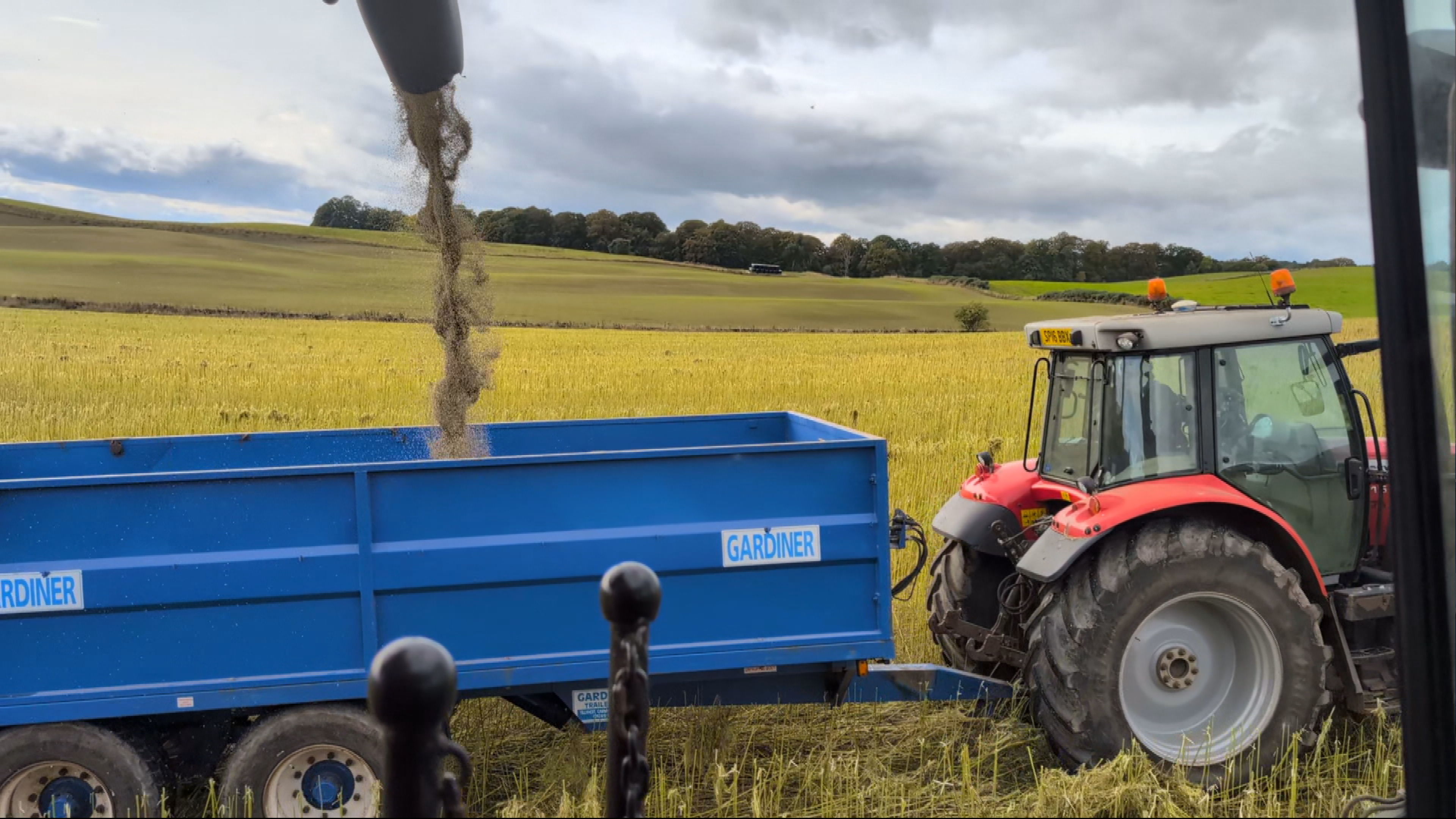 Hemp thrives in Scottish soil according to farmers